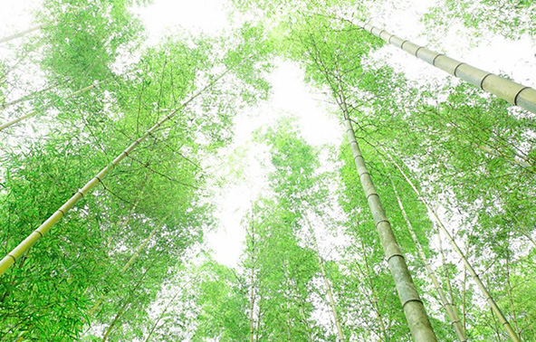 テント室内画像