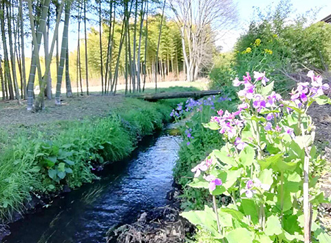 アウトドア朝食画像