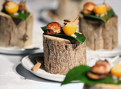 テント夜景画像