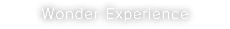 Wonder Experience